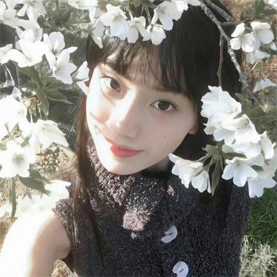 山河披锦绣