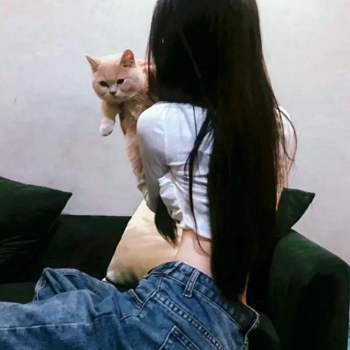 一碌蔗